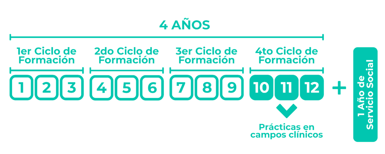 ProcesodeFormacion_Psicologia