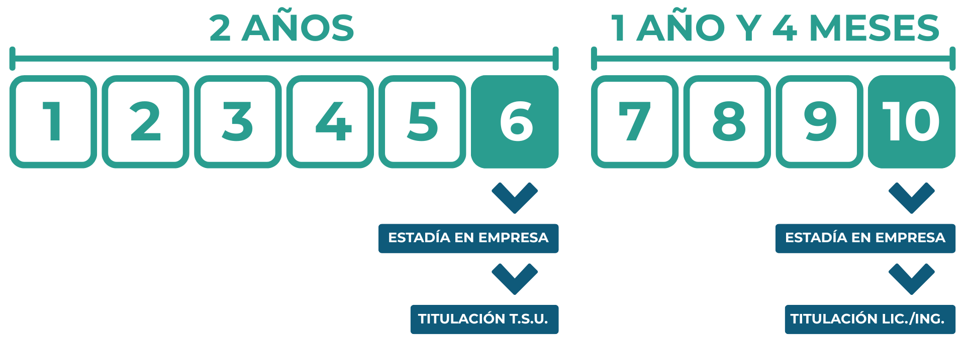 Proceso de Formación Carreras