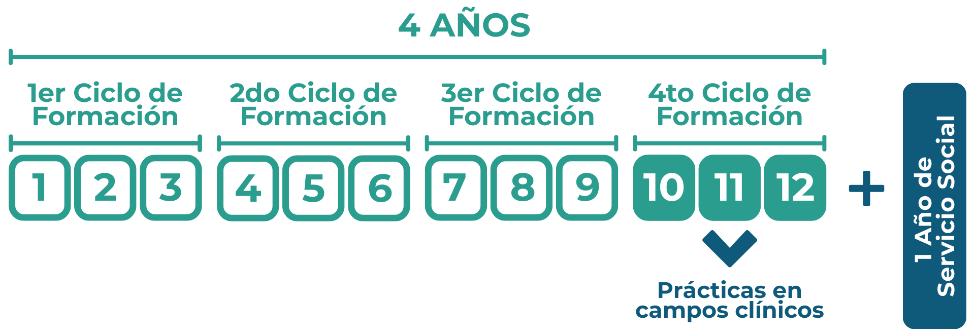 Proceso de Formación Psicología